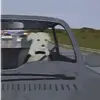 percysamuel10 - @percysamuel10 - TikTok