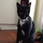 Percy - @percysaunders - Instagram