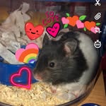 Monty Herbert Percy Simmons - @montyhpsimmons - Instagram