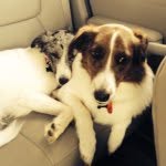 Percy and Bea Simmons - @thesimmonssisters - Instagram