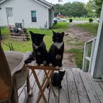 Percy Tate - Facebook