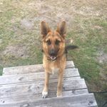 Percy Austin Thompson - @percyaustinthompson - Instagram