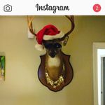 Percythompson - @percythompson3704 - Instagram