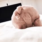 @_percy_mcarther_winston_wilson - Instagram