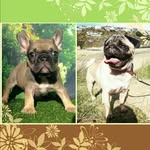 Winston & Percy - @winston_and_percy - Instagram