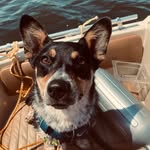 Winston Belcourt - @sirbarkleywinstonxpercy - Instagram