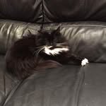 Winston Percy - @winstonpercy - Instagram