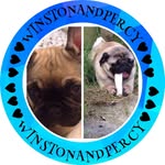 @winstonandpercy - Instagram