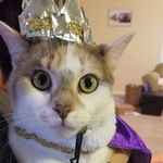 Perdita Smith - @purr_dita - Instagram