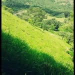 perfecto garcia - @perfectogarcialeon - Instagram