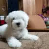Perfecto Ramirez - @perfecto.ramirez8 - TikTok