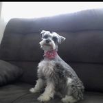 Perla Aparicio Contreras - @perla.aparicio.c - Instagram