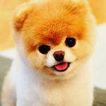 perla aguirre borunda - @flowermonkey2231 - Instagram