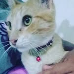 Perla Dominguez - @perladominguez2337 - Instagram