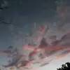 Perla Dominguez - @perladominguez32 - TikTok