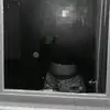 Perla Leon 🥷🏽💗 - @perla.leon034 - TikTok