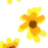 Perla 🌸 - @perlaroman1050 - TikTok