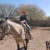 Perla Roman_ - @perlaroman_ - TikTok