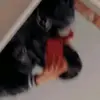 perlaroque80 - @perlaroque80 - TikTok