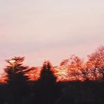 Pernell Jenkins - @fw_tayo - Instagram