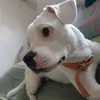perri_maycol - @perri_maycol - TikTok