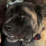@perry_andrews_96 - Instagram
