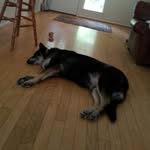 Perry Burns - @kermit1974pdawg - Instagram