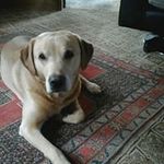 Perry Calvert - @calvertperry - Instagram