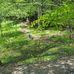Perry Cline Historic Grave - Facebook