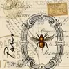 user82888623343120 - @conradperryuijmyn - TikTok