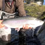 Perry Corsetti - @2fishak - Instagram
