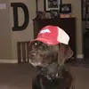 Perry Darby - @darbo2454 - TikTok