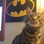 Bash Perry Dixon - @bashpd - Instagram