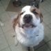 Perry Donnelly - Facebook