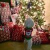 Patty Ellison-Perry - @pattyellisonperry - TikTok