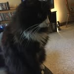 Perry gray - @perrygray66 - Instagram