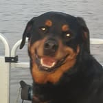 perry gulledge - @perrygulledge - Instagram