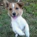 Perry Hanson - Facebook