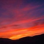 Perry Hart 6 - @melikepaksut8531179 - Instagram