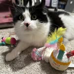 Dawn Perry Hartman - @dmpcorbin - Instagram
