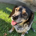 Perry Hartman - @pdhart23 - Instagram
