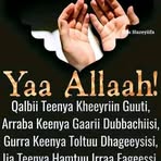Hawas Boru - Facebook