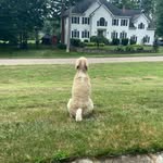 Perry Hillier - @perry.hillier - Instagram