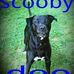 Perry Horton - Facebook