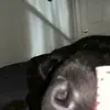 Perry Hunt - @myhomie2341 - TikTok