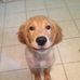 Perry Hunter - Facebook