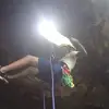perrykinney343 - @perrykinney343 - TikTok