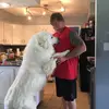 perrykinney445 - @perrykinney445 - TikTok