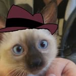 Ajan P - @perry_lingo - Instagram