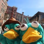 perry - @perry_life.365 - Instagram